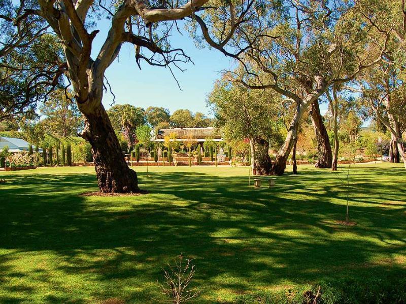 Jacobs Creek Retreat - Barossa Valley Танунда Экстерьер фото